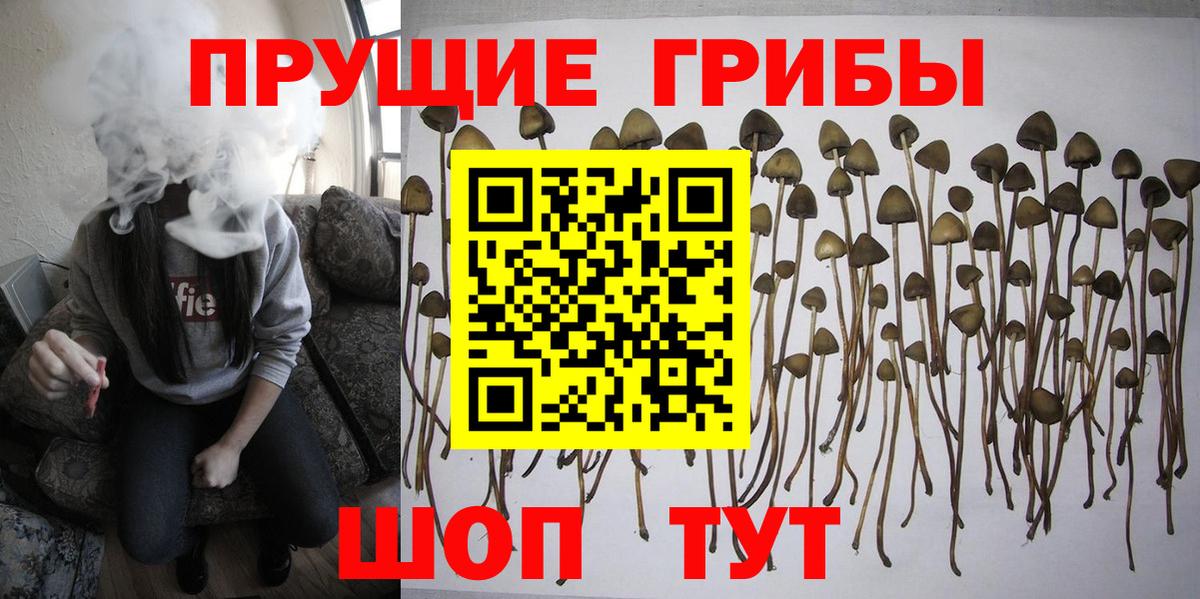Галлюциногенные грибы мухоморы Снежинск
